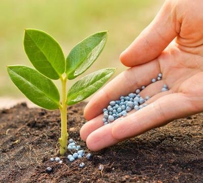 Micro Fertilizer