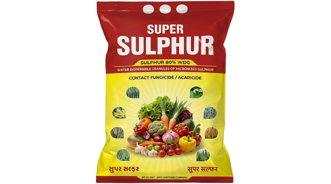 Premium Agricultural Solutions for Healthier Crops