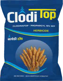 Hitwit Super (Pyrithiobac Sodium 6% + Quizalofop Ethyl 4% MEC)
