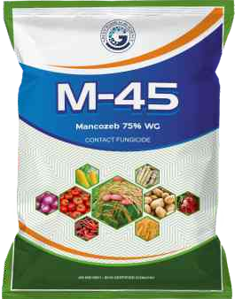 Weedon (2, 4-D Amine Salt 58% SL)