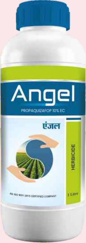 Angel (Propaquizafop 10% EC)