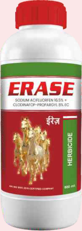 Erase (Sodium Acifluorfen 16.5% + Clodinafop-Propargyl 8% EC)