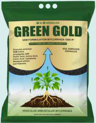 Green Gold (VAM Mycorrhiza 1000 IP / 7 in 1 Granular Bio-Fertilizer)